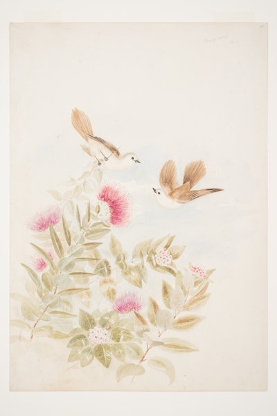 Pirangi Rangi New Zealand by Charles Heaphy